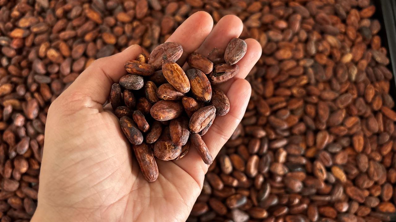 Bean-to-Bar